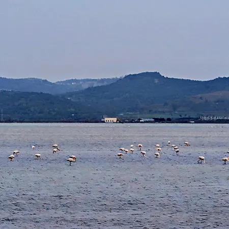 Adriatic