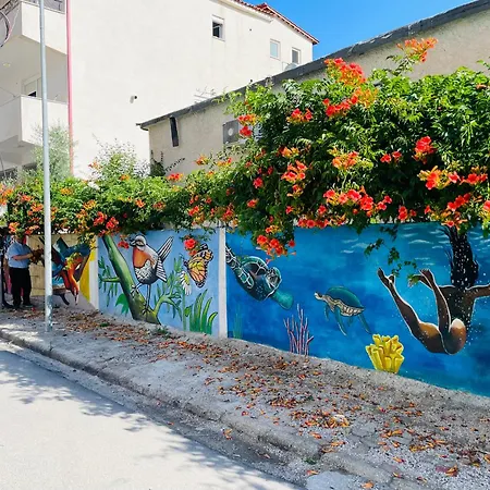 Adriatic *